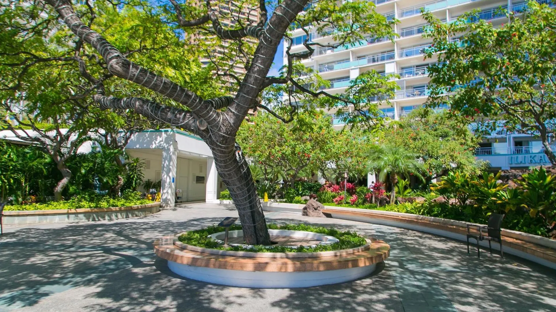 Ilikai Tower 1744 Yacht Harbor View 2Br Apartment Honolulu 0*,  United States